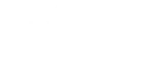 i raduni in programma